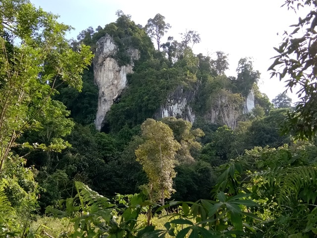 Gunung Putih Tanjung Palas, Kalimantan (indonesiatrav)